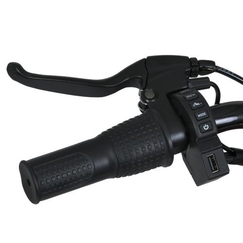 Мотоцикл M 6016AL-2(36V)